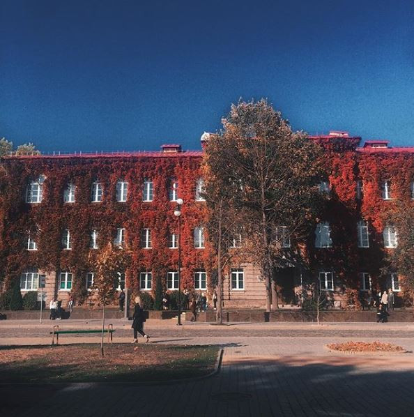 dianassladko