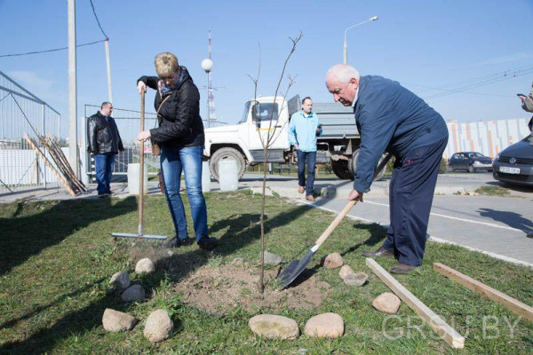 photo_2019-04-20_15-56-15