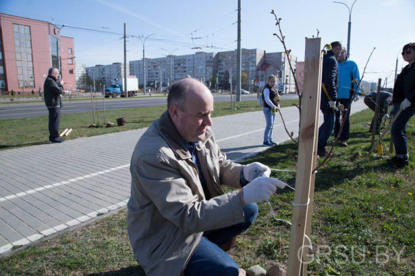 photo_2019-04-20_15-57-04