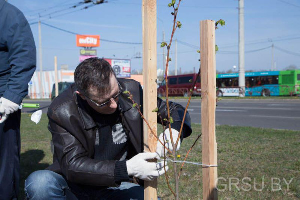 photo_2019-04-20_15-57-34