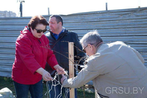 photo_2019-04-20_15-57-42