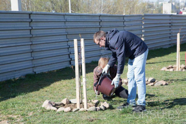 photo_2019-04-20_15-57-49