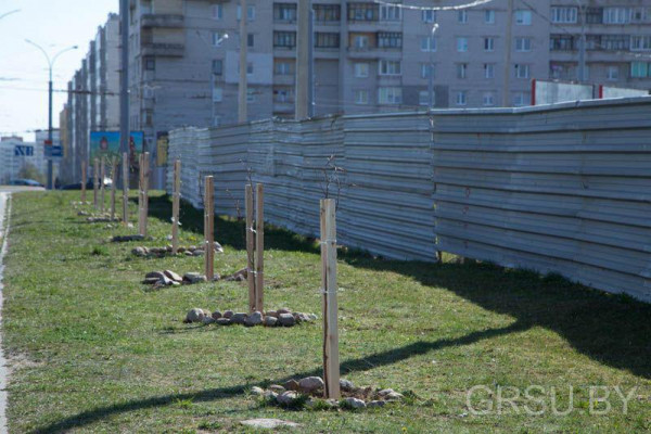 photo_2019-04-20_15-58-97