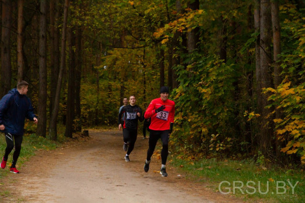 IMG_20191005_194629_263