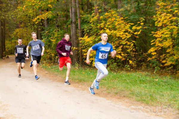 IMG_20191005_194631_956