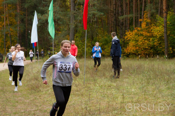 IMG_20191005_203734_148