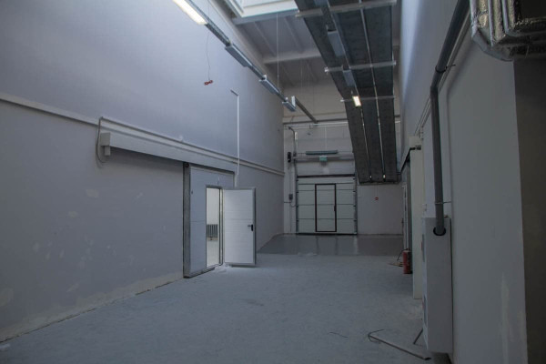 photo_2021-02-17_16-29-35_3