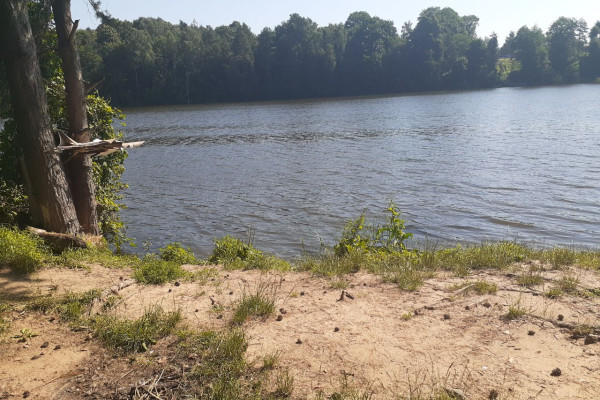 IMG_20210709_170533_882