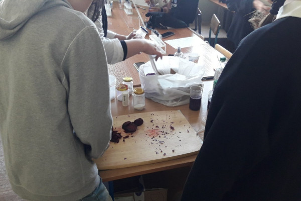 IMG-407000742604dea57f220ffc70310f52-V