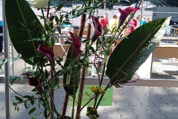 photo_2023-05-16_16-00-15