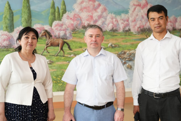 photo_5348555347197025630_y