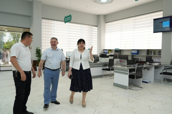 photo_5348555347197025633_y