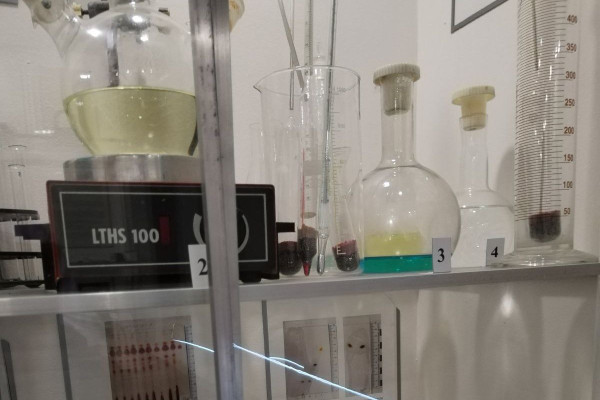 photo_2024-05-28_11-01-06_2