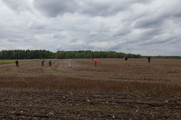 photo_5474424449047585147_y