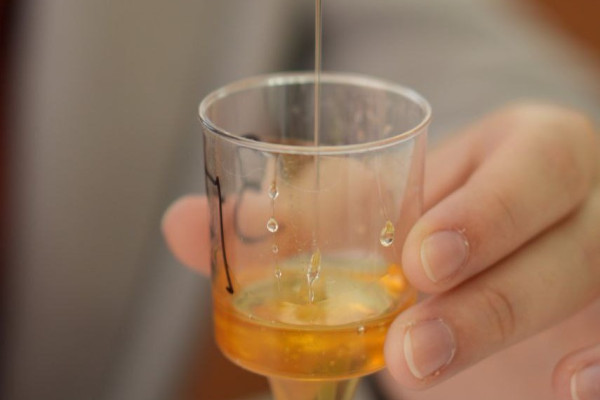 photo_5285324447823290593_y