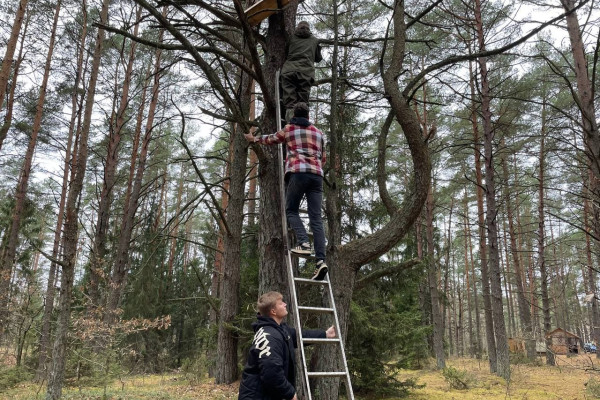 photo_5301080256175793312_y