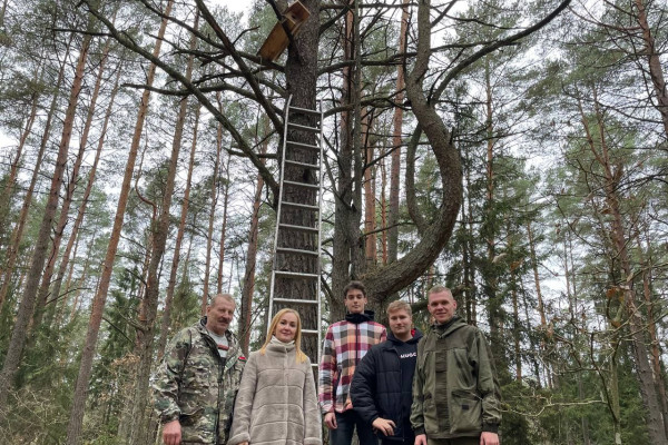 photo_5301080256175793313_y