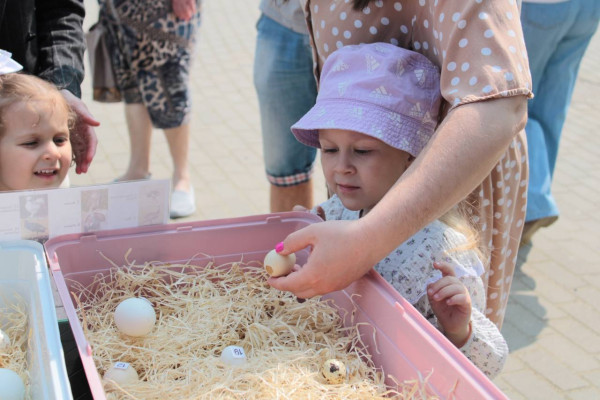 photo_2025-06-04_09-34-40