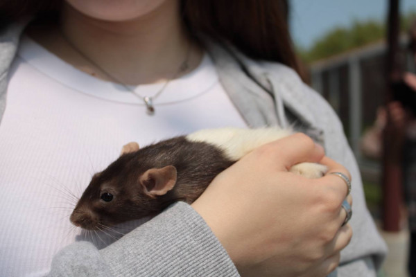 photo_2025-06-04_09-34-47