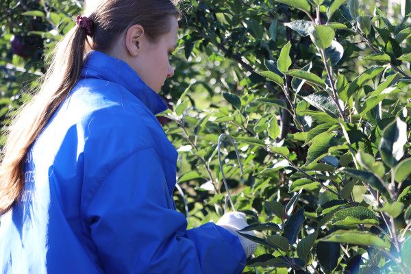 20240926101636_IMG_3859