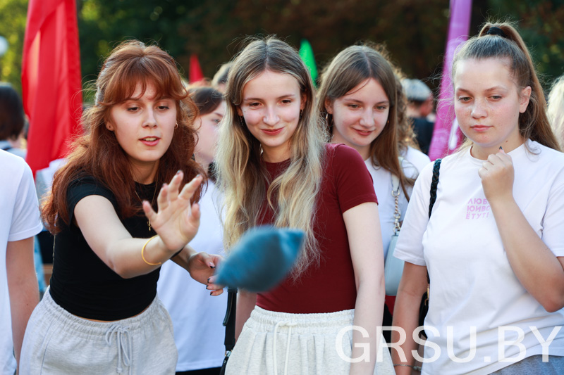 IMG 7033